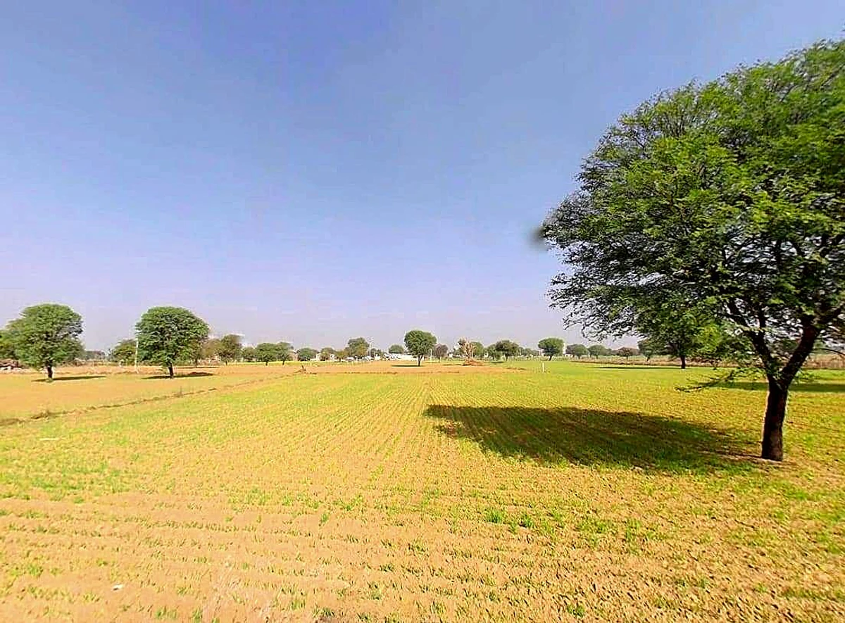 Sargoth, Rajasthan 332404, India