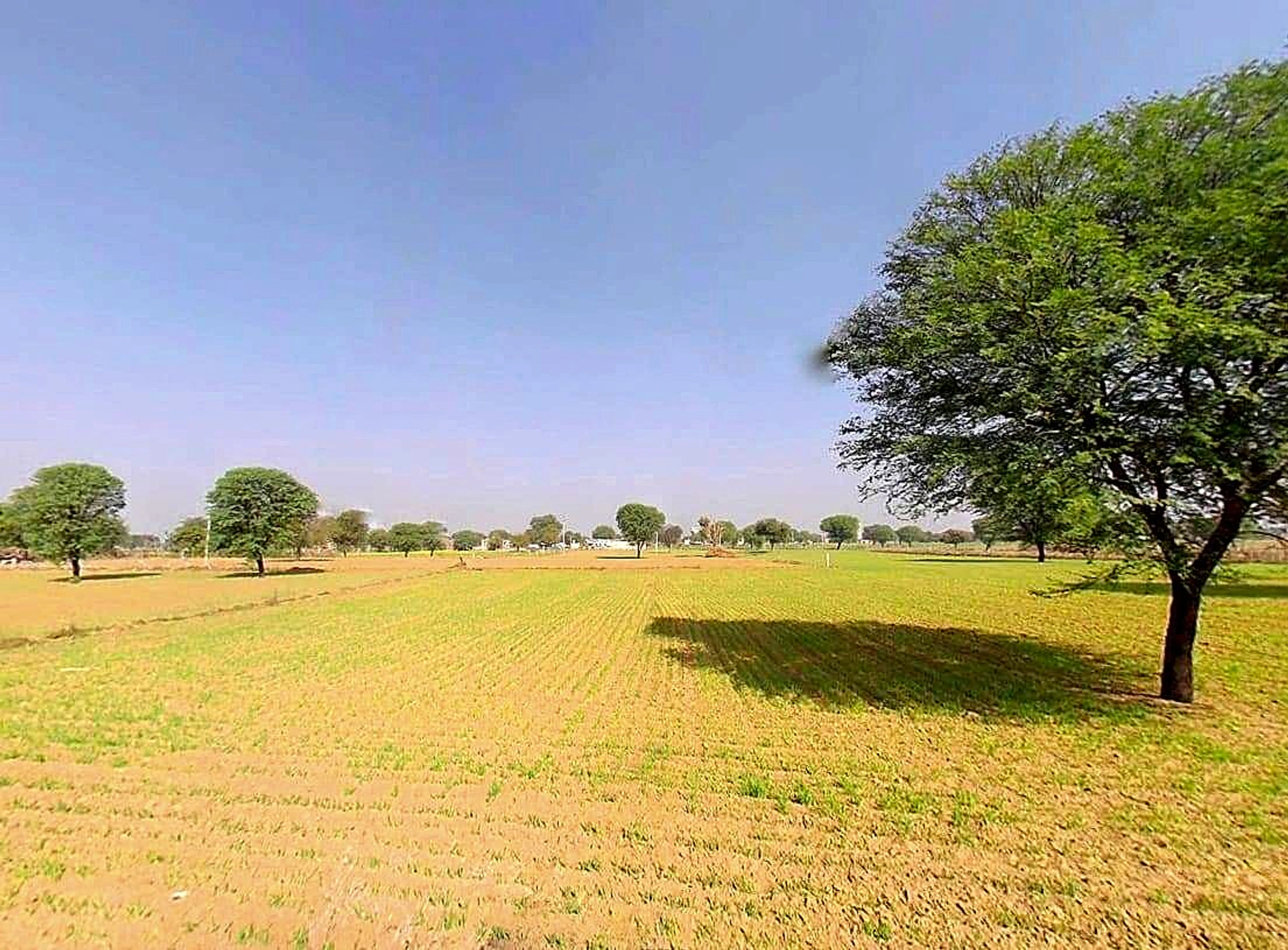 Sargoth, Rajasthan 332404, India