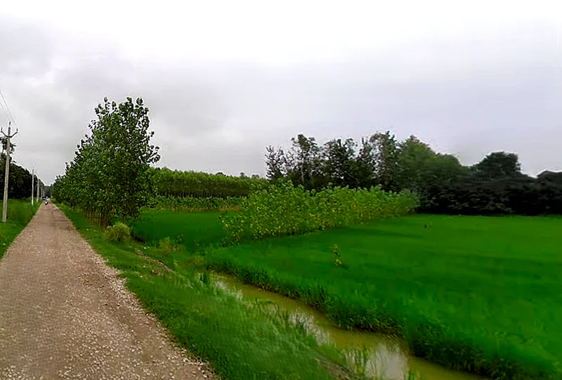 Chataki, Uttar Pradesh 247121, India preview 2