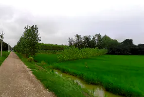 Chataki, Uttar Pradesh 247121, India preview 2