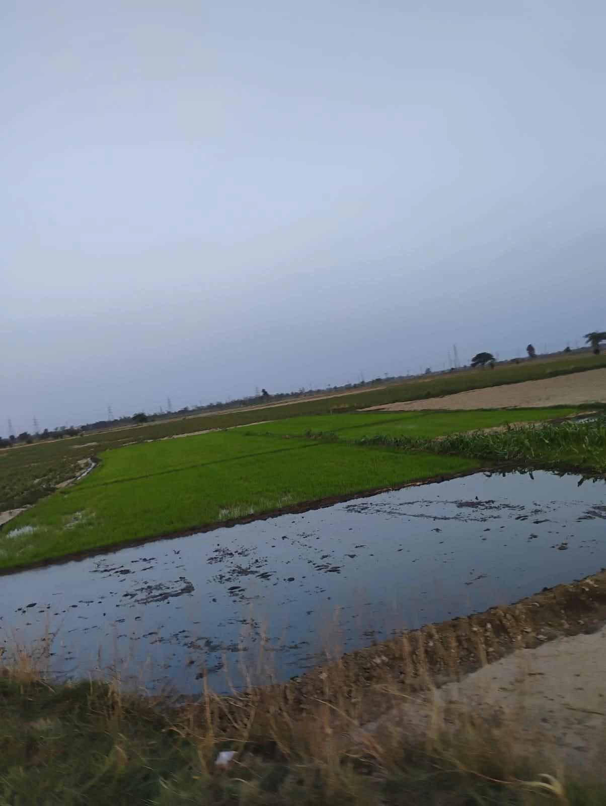 Bishambhara, Uttar Pradesh 281404, India