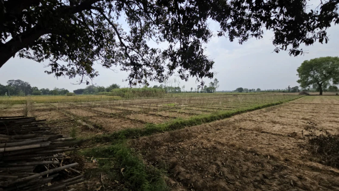 VC23+GJ Rajoda, Bavla, Gujarat, India