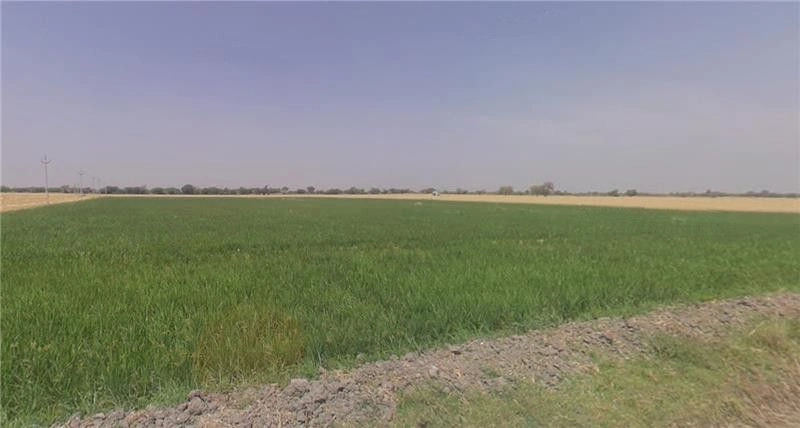 Dongarpal, Maharashtra 416511, India