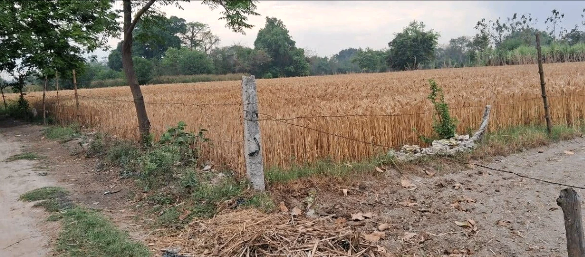 Yusufpur Rd, Yusufpur, Bihar 844121, India