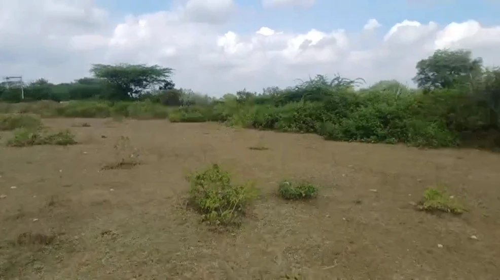 MVXV+7F Nandwel, Rajasthan, India