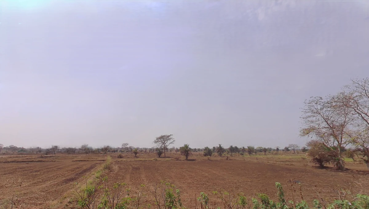 Tum Gaon, Chhattisgarh 493445, India