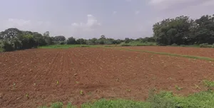 Rethal, Gujarat 382110, India preview 2