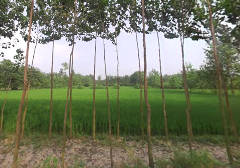 Chamari Khera, Uttar Pradesh 247662, India