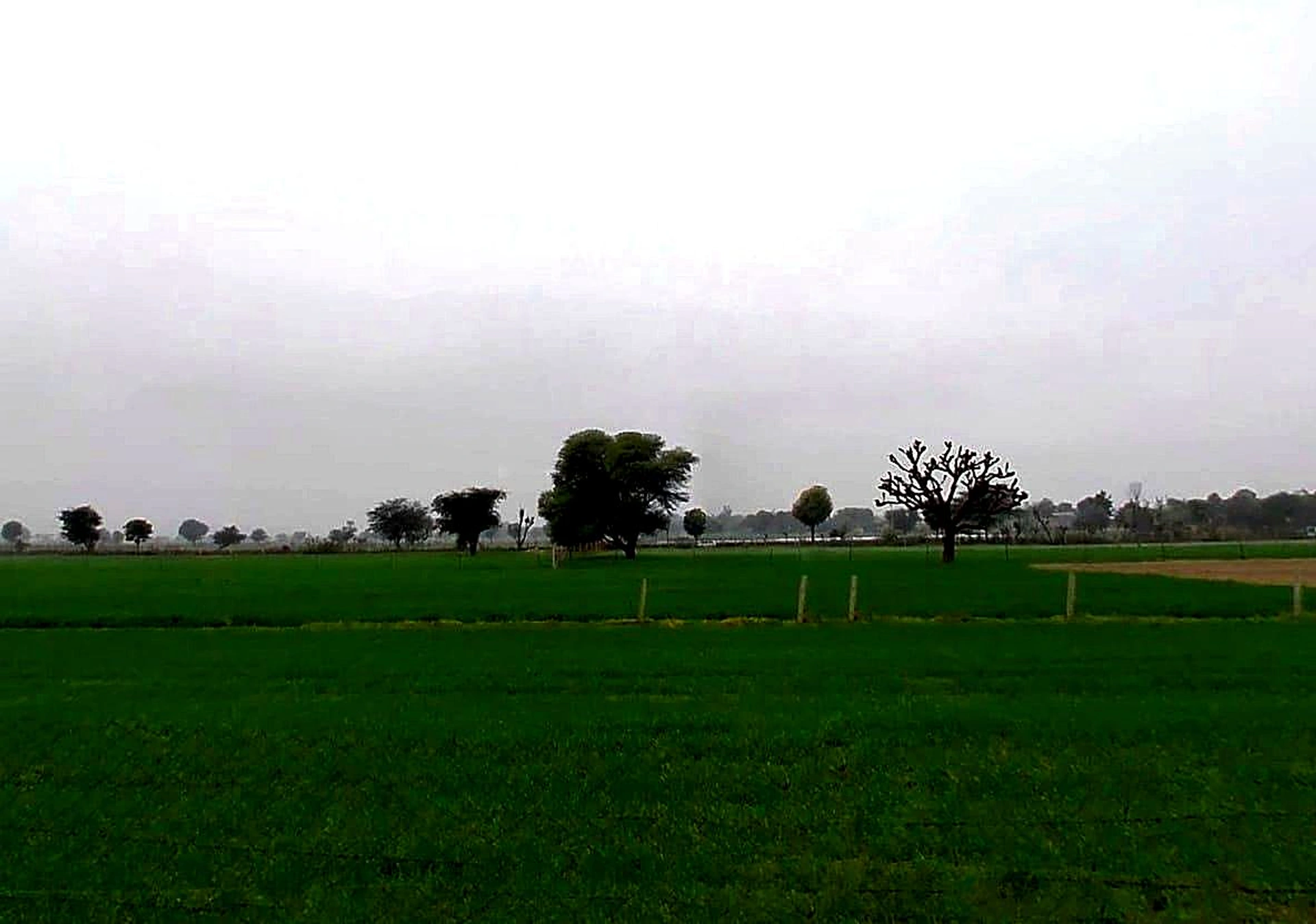 XGJ2+P2C, Bassi Naaga, Rajasthan 303124, India