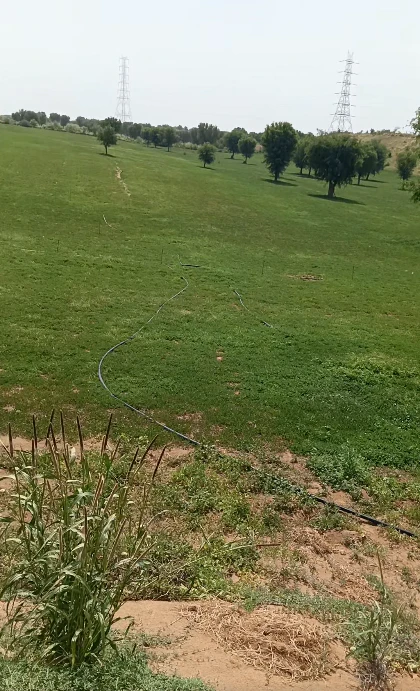 4VX7+JH Naysar, Bulandshahr, Uttar Pradesh, India