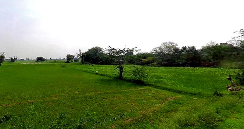 Chandla, Madhya Pradesh 471525, India preview 2