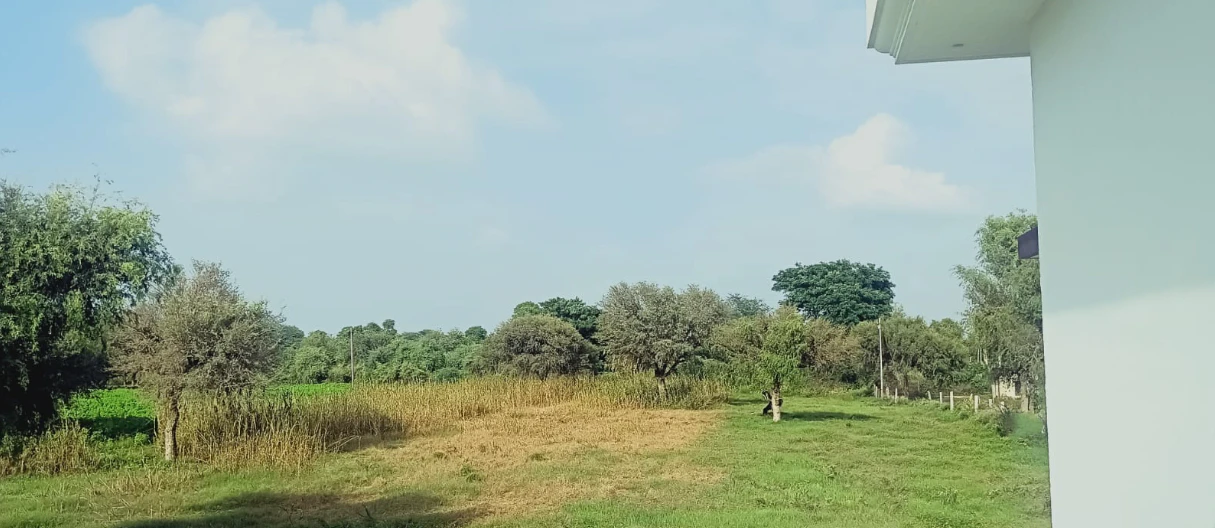 RX8P+2H Sanwali, Sikar, Rajasthan, India
