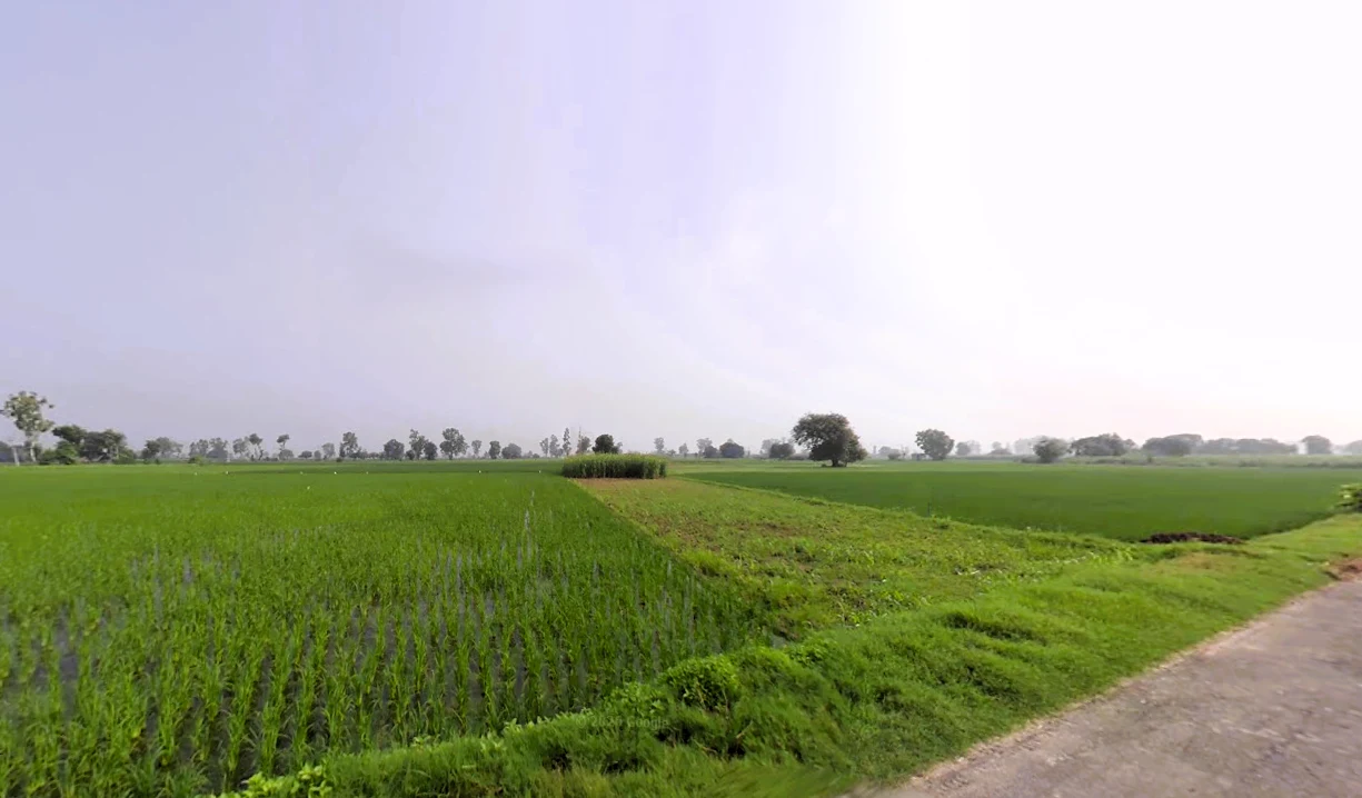 Munak, Haryana 132040, India