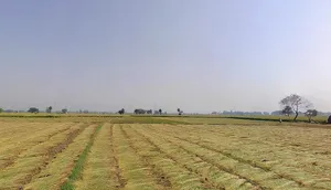 Tappal, Uttar Pradesh 202165, India preview 3
