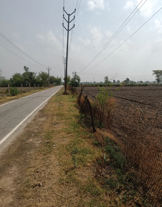 Solitaire Walk, Lodhi Club Road, adjoining Keys Hotel, Rajguru Nagar Extension Part-1, Rajguru Nagar, Ludhiana, Punjab 142022, India