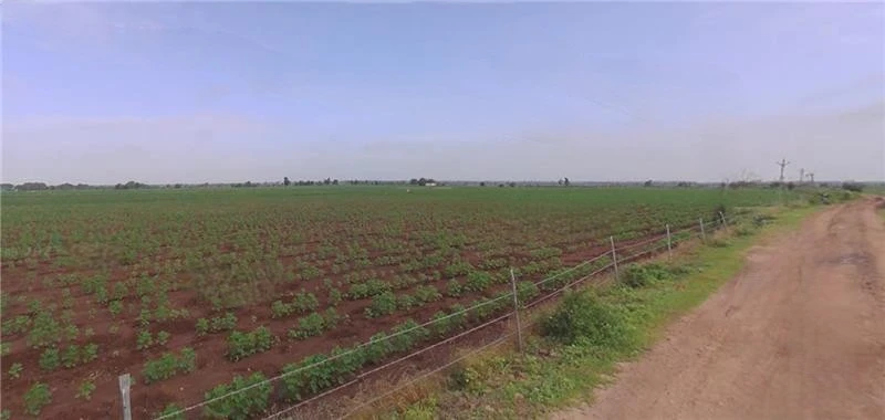 F7X4+XC Devsar, Gujarat, India