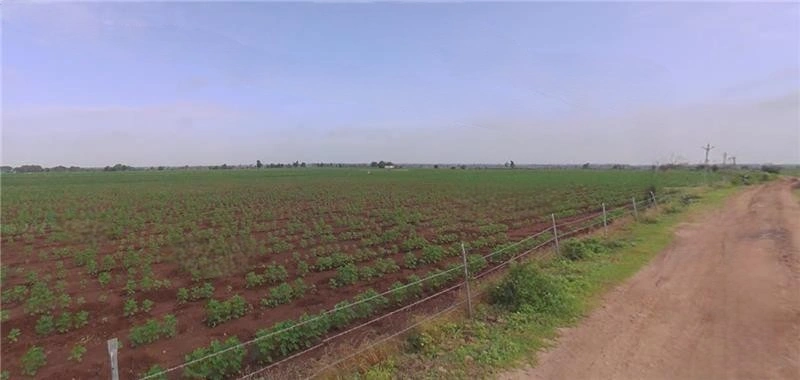 F7X4+XC Devsar, Gujarat, India