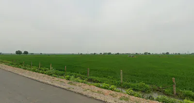Beebanwa, Rajasthan 323001, India preview 2