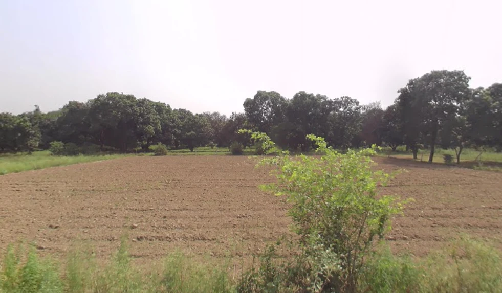 Siyana, Uttar Pradesh 203412, India preview 2