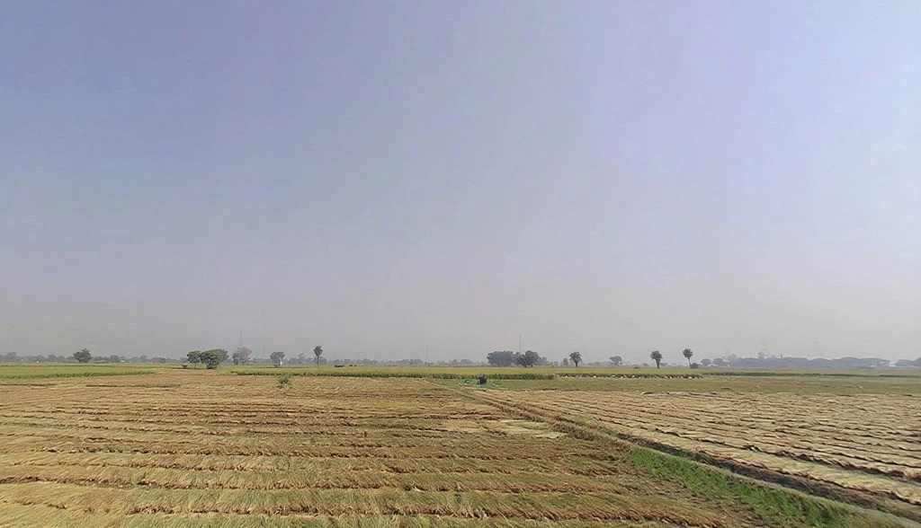 Tappal, Uttar Pradesh 202165, India