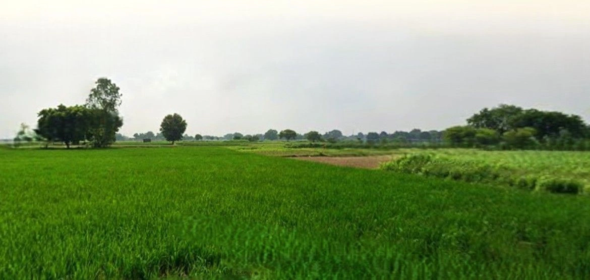 Asrawe Khurd, Uttar Pradesh 211012, India