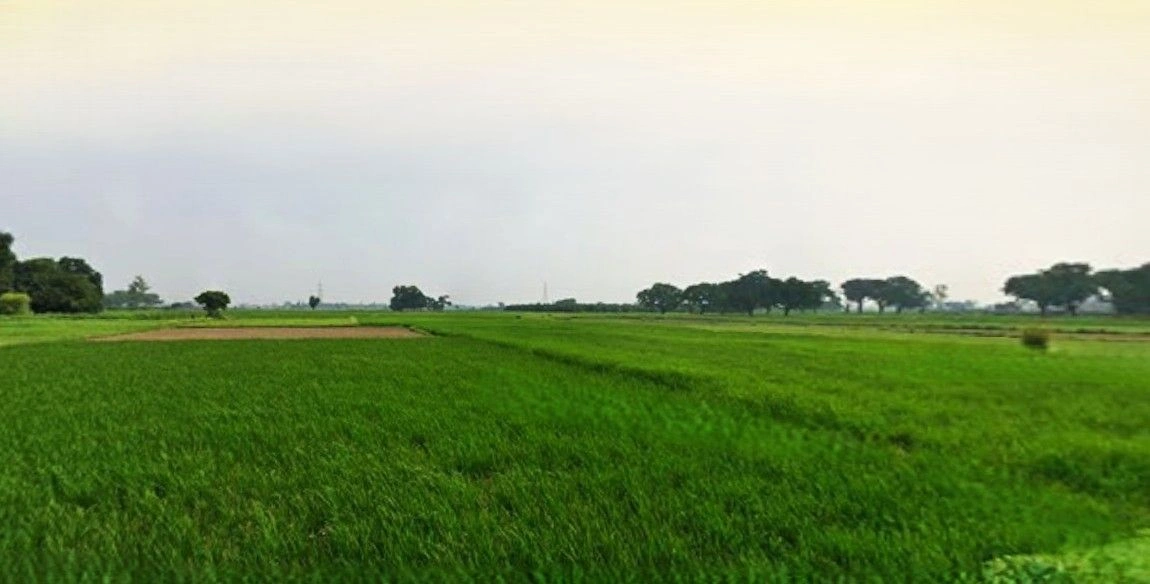 Beri, Haryana 124201, India