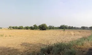 Sangwari, Haryana 123401, India preview 2