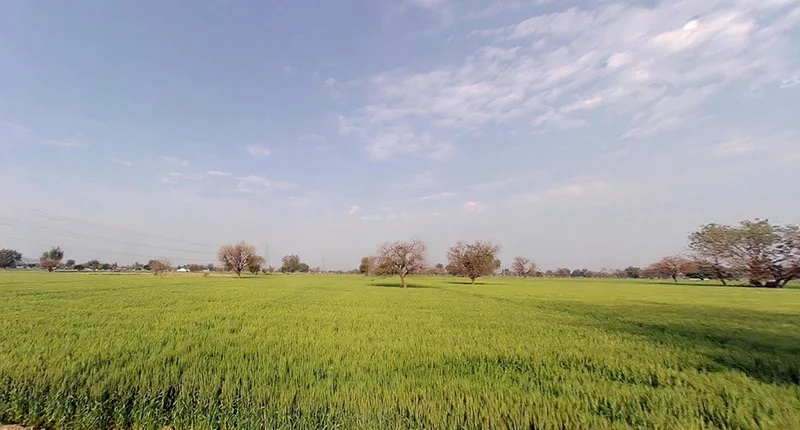 Ghat, Rajasthan, India preview 2