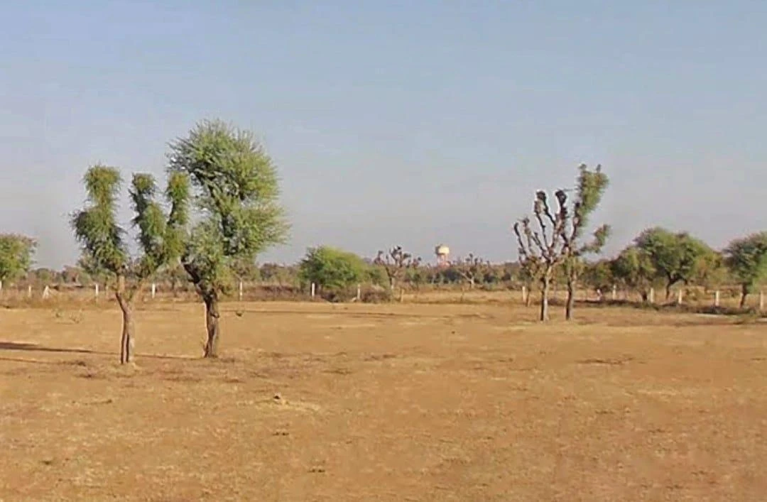 Amoli, Rajasthan 321407, India