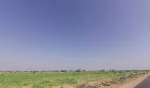 Kolayat, Rajasthan 334302, India preview 3