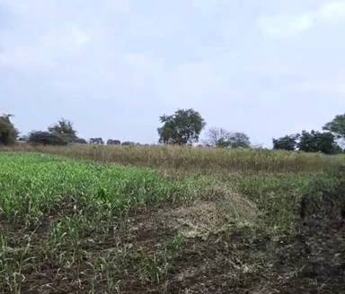 68XG+XM Telkur, Karnataka, India