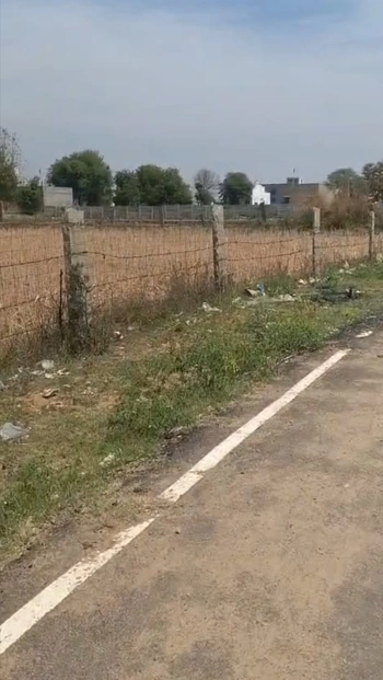 Tanda, Uttar Pradesh 244925, India