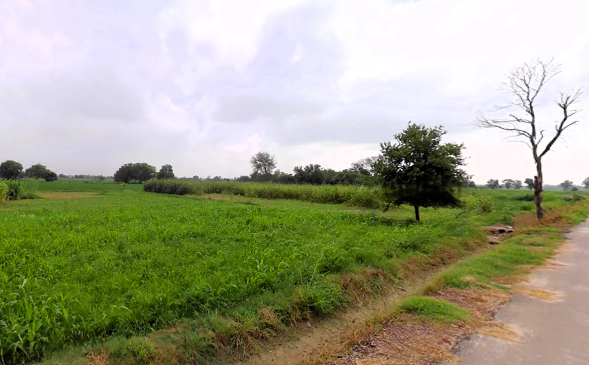 Tosham, Haryana 127040, India