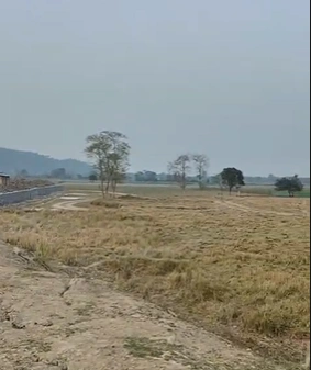 Burha Mayang, Assam 782411, India