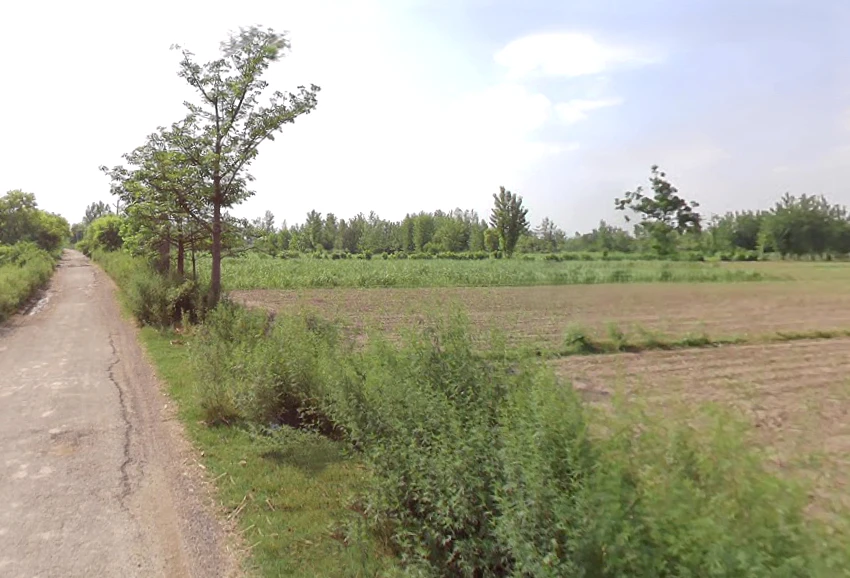 Chandra Must, Uttar Pradesh 244231, India