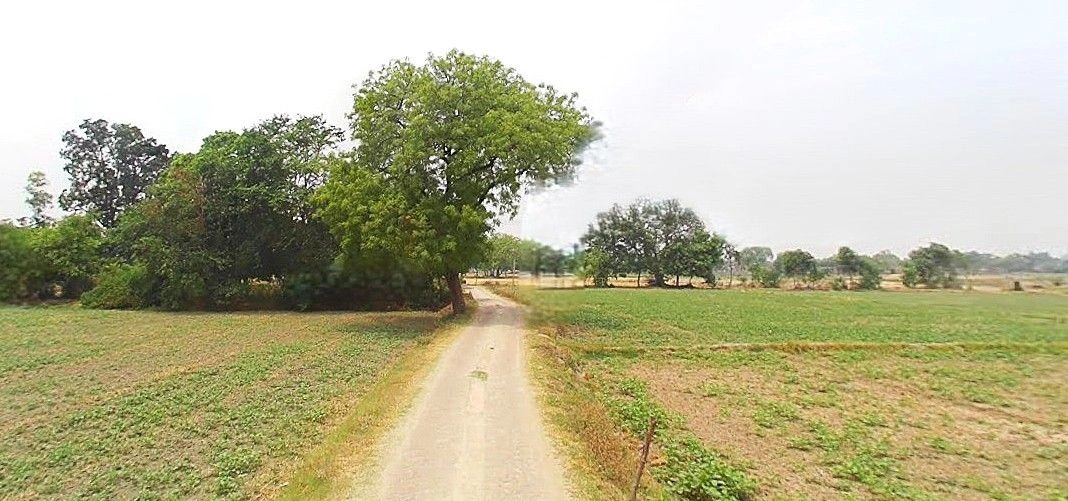 Purwa, Uttar Pradesh, India