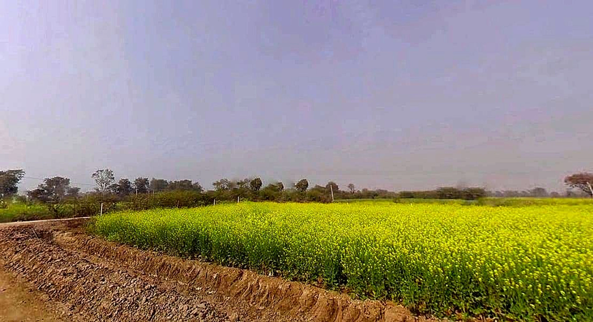 Hadarhera, Rajasthan 301021, India