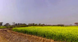 Hadarhera, Rajasthan 301021, India preview 3