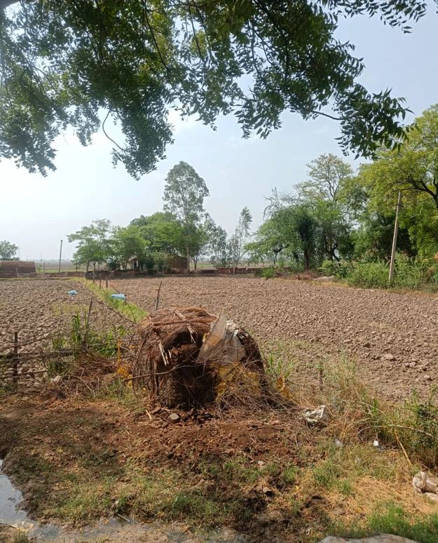 Balachaur, Punjab 144521, India