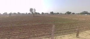 Surdhana Pariharan, Rajasthan 334201, India preview 3