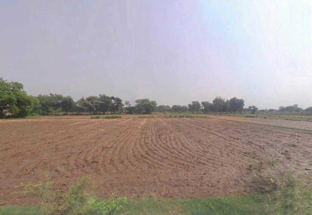 Ranoli, Rajasthan 332403, India