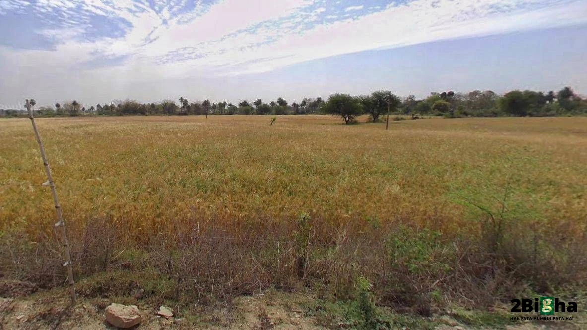 Rewa, Madhya Pradesh, India