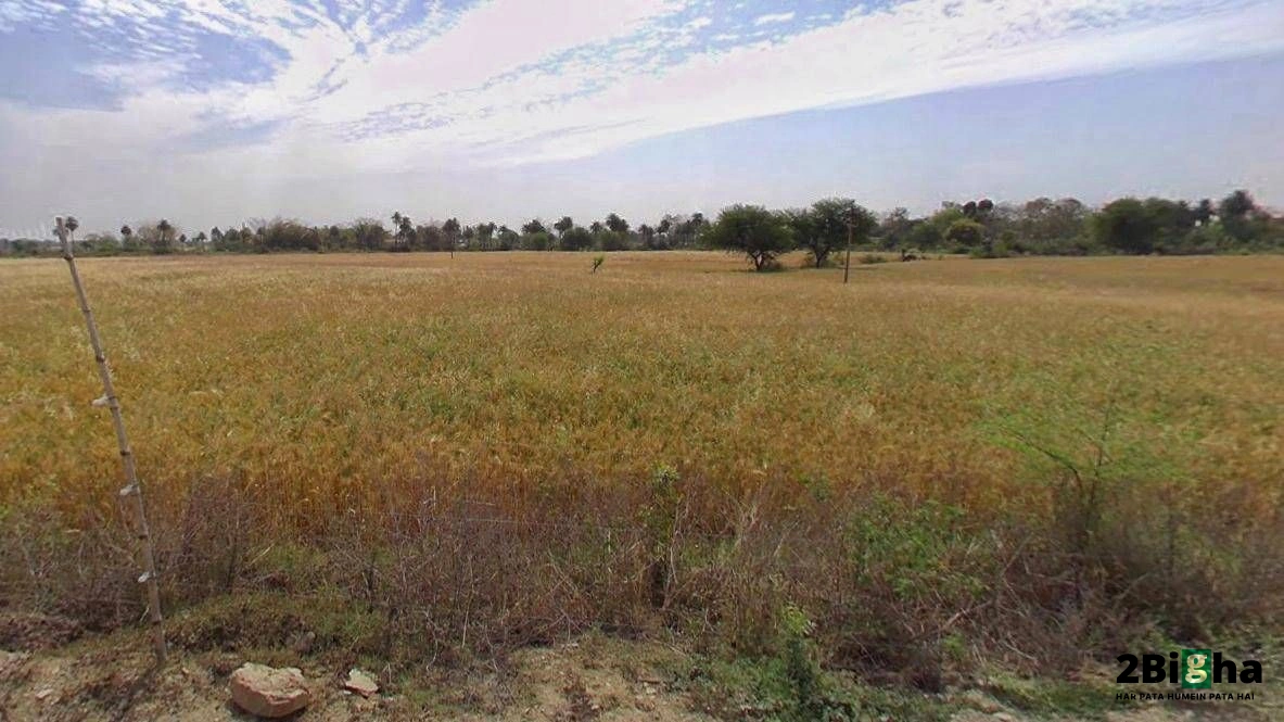 Rewa, Madhya Pradesh, India