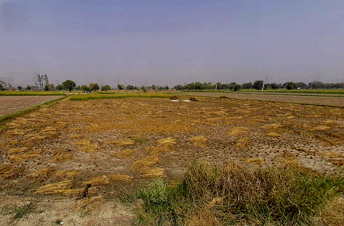 Sankhi, Uttar Pradesh 281401, India