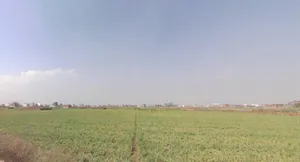 March Marchi Rd, Paijawa, Patna, Bihar 800009, India preview 3