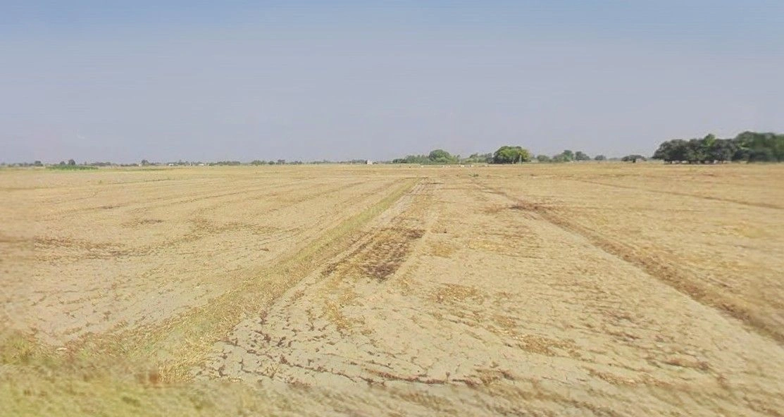 Barnagar, Madhya Pradesh 456771, India