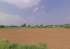 Badasirei, Puri, Odisha 752002, India preview 2