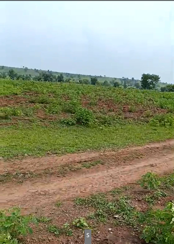 Balwada, Dhar, Madhya Pradesh 451224, India