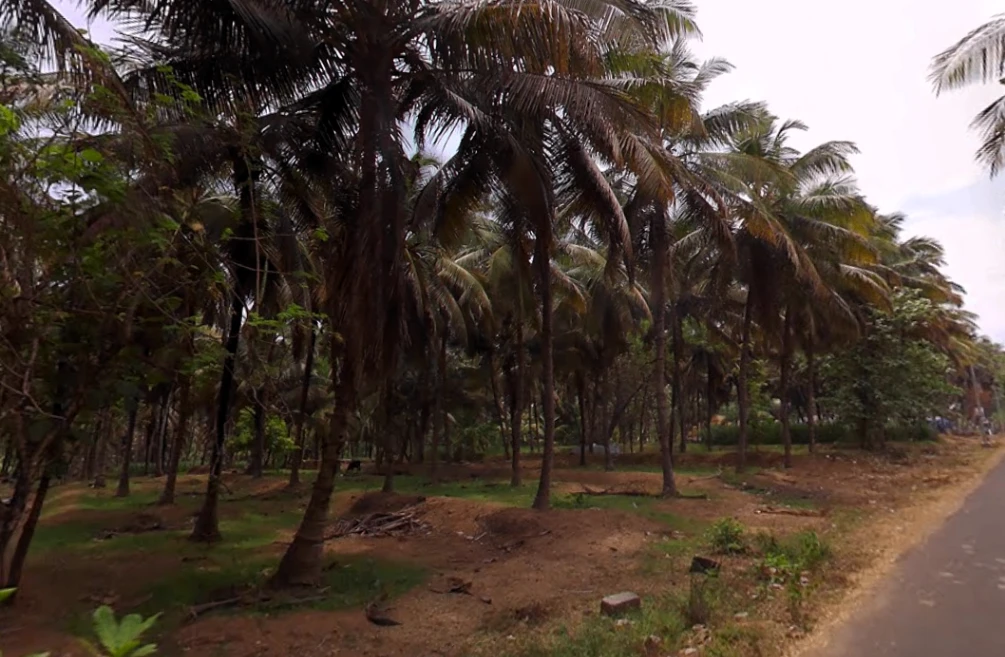 203, Palakkad - Koduvayur - Meenakshipuram Hwy, Meenakshipuram, Tamil Nadu 642103, India