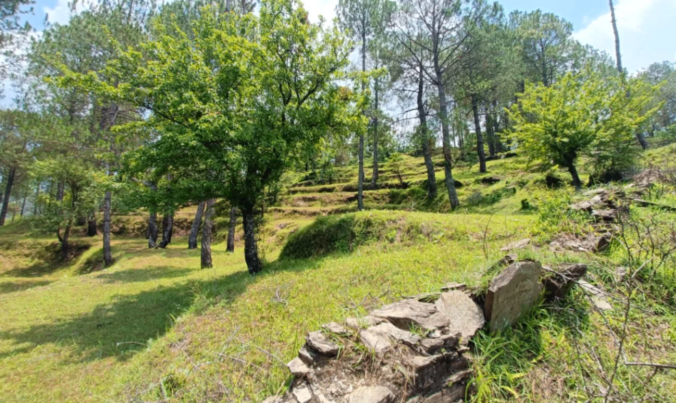 Pipalia, Uttarakhand, India